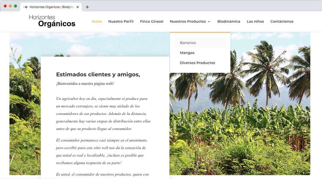 prevista1_1